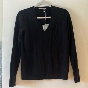 Everlane V-Neck Sweater